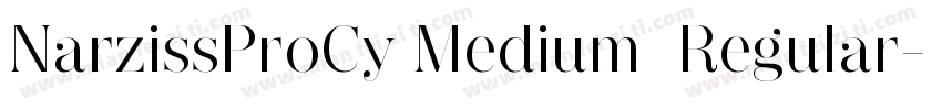 NarzissProCy Medium  Regular字体转换